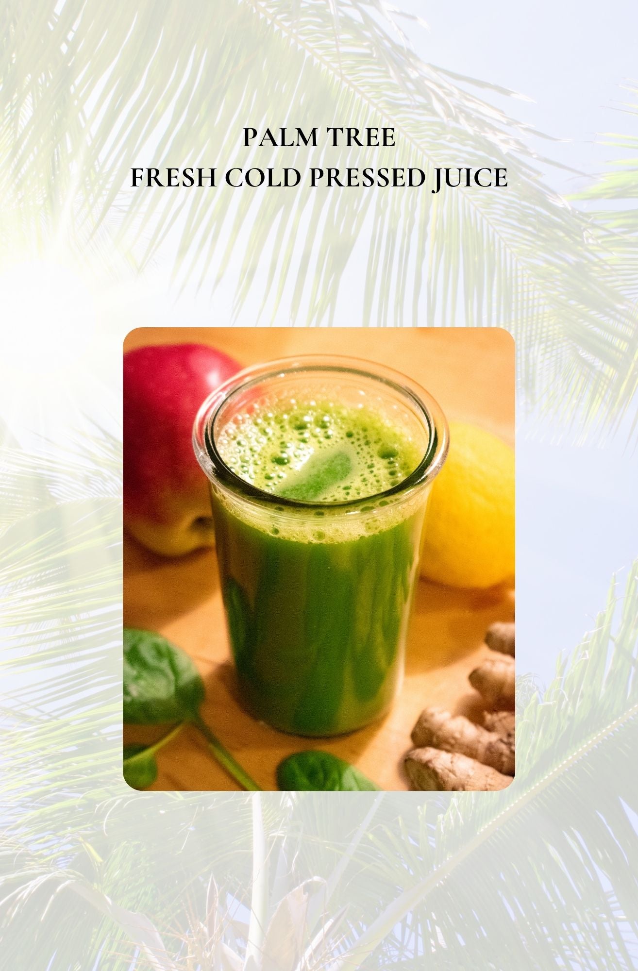Fit Bakery Cookbook | Coming Soon!