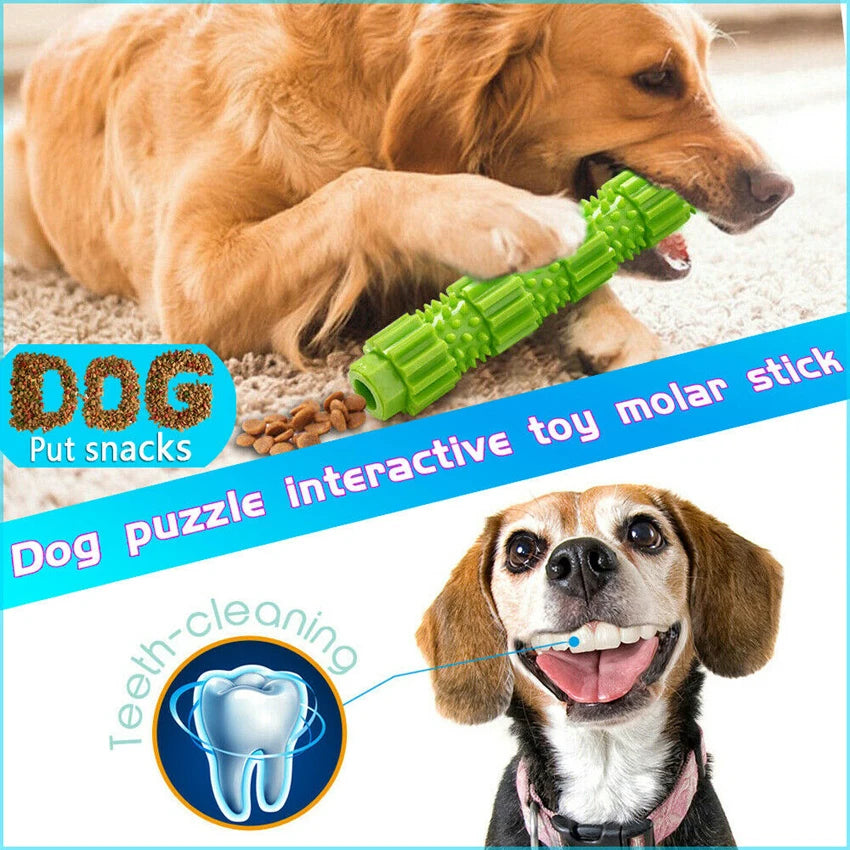 Tough Chew Treat Toy