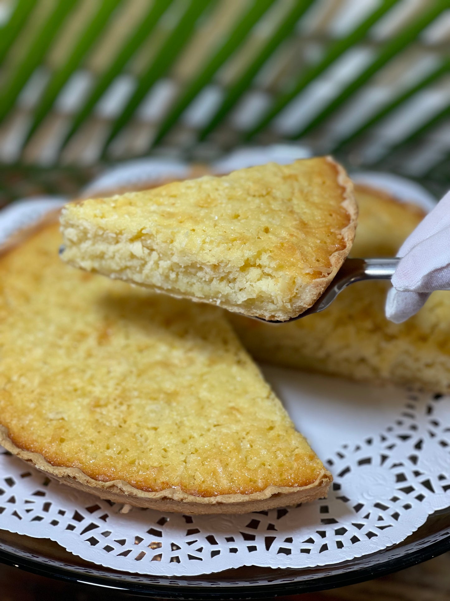 WHOLESALE Old-Fashioned Buttermilk Coconut Pie